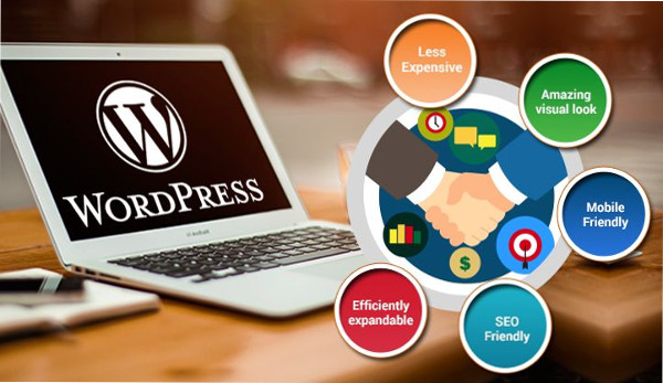 Custom WordPress websites